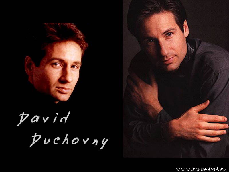  _David Duchovny___Foto-wallpapers    _    c   _David Duchovny