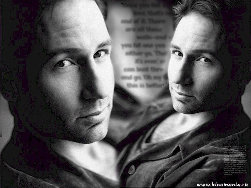  _David Duchovny___Foto-wallpapers    _     _David Duchovny