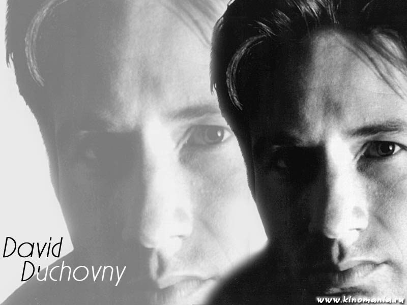  _David Duchovny___Foto-wallpapers    _PlayBoyz wallpapers   _David Duchovny