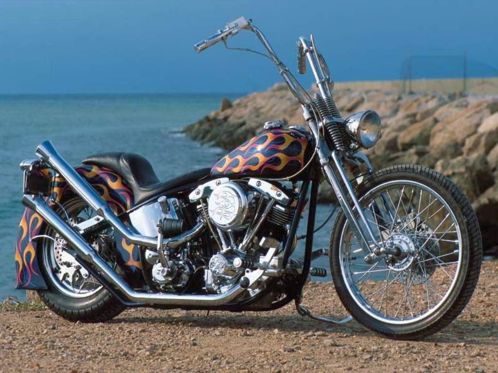   _Harley Davidson___Foto-Wallpapers.Ru - -   _-    