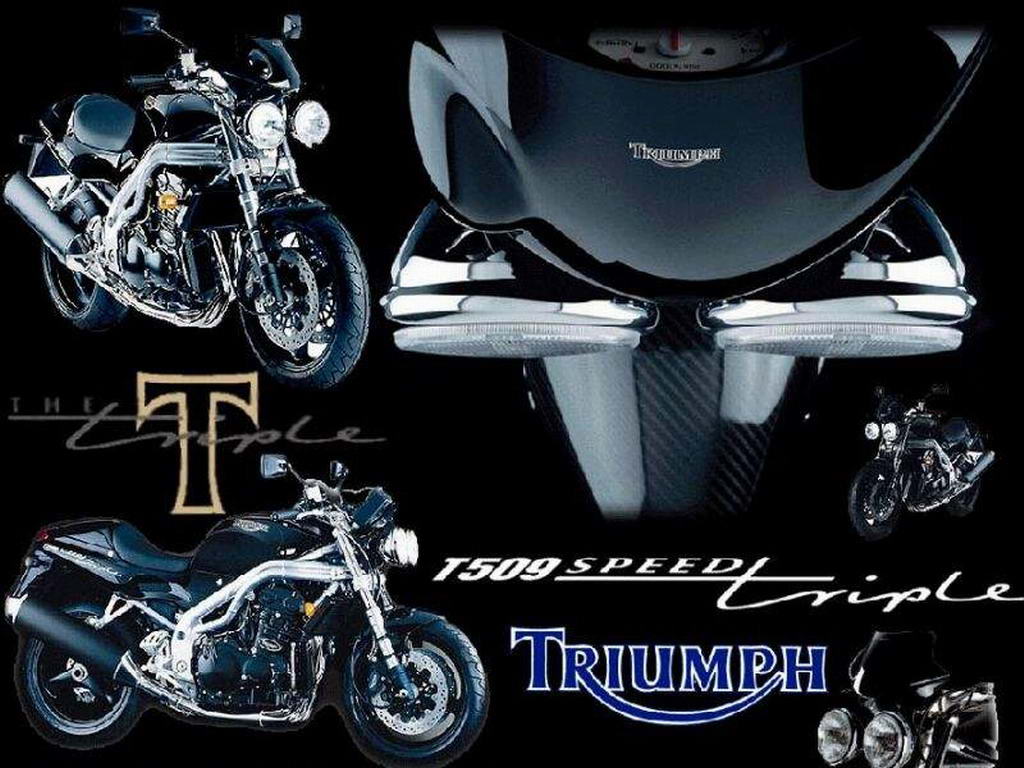  _Triumph___Foto-Wallpapers.Ru - -   _     _Triumph